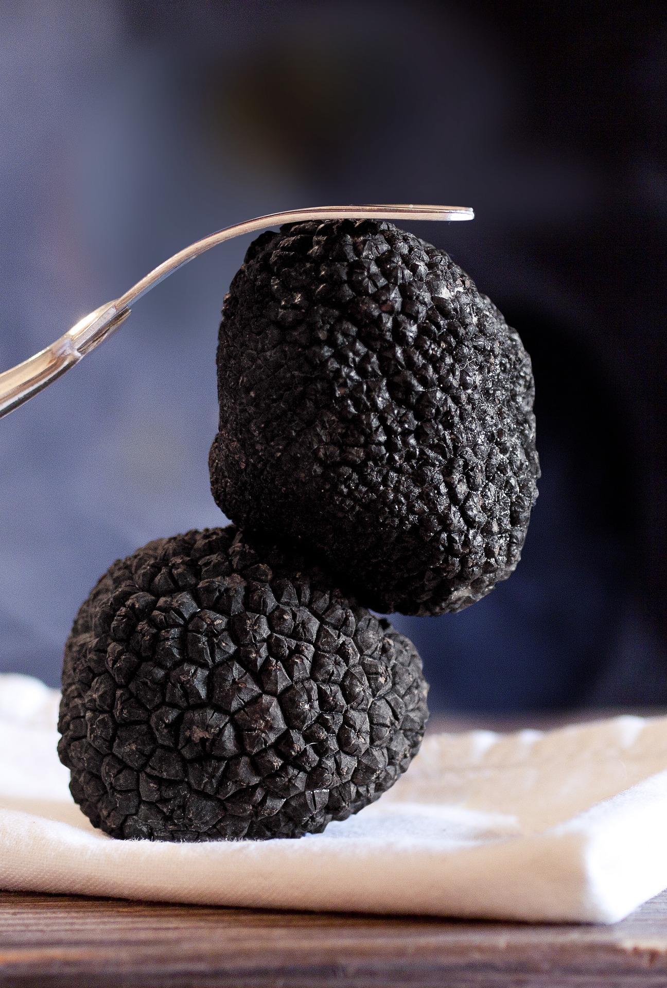 Sélection Maison Jamart : truffes et grenades